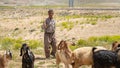 Qashqai Turkish shephard man with his goats, Shiraz, Iran