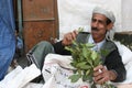 Qat consumption in yemen