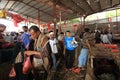 Qat market in yemen