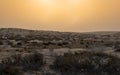 Qatar sea line desert landscape during sunset. selective focus
