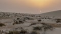 Qatar sea line desert landscape during sunset. selective focus