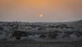 Qatar sea line desert landscape during sunset. selective focus