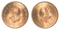 5 Qatari Dirham coin Royalty Free Stock Photo