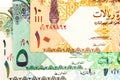 Qatari riyal bank notes format-filling background Royalty Free Stock Photo