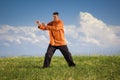 Qi-Gong outdoor Royalty Free Stock Photo