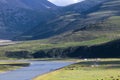 Qilian Mountain Grassland in Qinghai, China Royalty Free Stock Photo