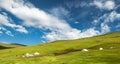 Qilian Mountain Grassland in Qinghai, China Royalty Free Stock Photo