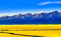 flower field in QiLian mountain