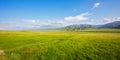 Qilian Plateau meadow in summer Royalty Free Stock Photo