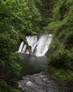 Lower North Falls, Silver Falls State Park, Oregon Royalty Free Stock Photo