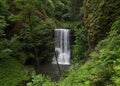 Lower South Falls, Silver Falls State Park, Oregon Royalty Free Stock Photo