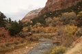 Virgin River, Zion Canyon, Zion National Park, Utah Royalty Free Stock Photo