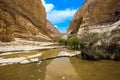 The Qing River