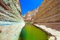 The Qing River in the Negev desert