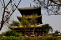 Qingbaihjiang, China: Sakura Pagoda Royalty Free Stock Photo