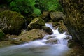 Scenery of the Back Hill of Qingcheng Mountain