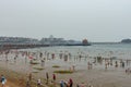 Workers cleaning sea lettuce algal bloom at Qingdao city beach in China Royalty Free Stock Photo