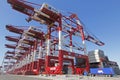 Qingdao Port Container Terminal