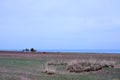 Qinghai Lake scenery along the way Royalty Free Stock Photo