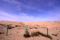 Qinghai Lake scenery along the way Royalty Free Stock Photo