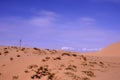 Qinghai Lake scenery along the way Royalty Free Stock Photo