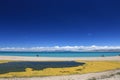 Qinghai lake Royalty Free Stock Photo