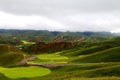 Qinghai Qilian Zhuoer Mountain scenery and Cole flowers