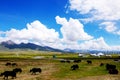 Qinghai-Tibet Railway