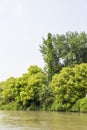 Qinghuai river and green tree Royalty Free Stock Photo