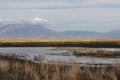 Bear River Migratory Bird Refuge, Utah Royalty Free Stock Photo