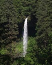 North Falls, Silver Falls State Park, Oregon Royalty Free Stock Photo