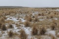 Tufts of dry grass and fresh snow near Green River, Wyoming