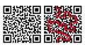 QR Code Maze with Solution in Red