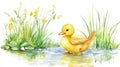 Quacker Day Charming duckling in springtime pond scene for nature art and design Royalty Free Stock Photo