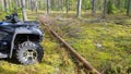 Quad bike in forest moving through fallen tree