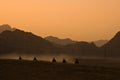 Quad Biking Desert Safari Royalty Free Stock Photo