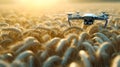 Quadcopter drone flying over golden wheat field at sunrise, capturing agricultural surveillance
