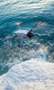 A quadcopter in flight against the background of a beautiful sea and white cliffs in the sunset light Royalty Free Stock Photo