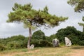 Quadrangle of the Crucuno - circle of menhirs