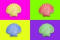 Quadrants in trendy neon colors with a color hue scallop shell in the middle Royalty Free Stock Photo
