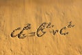 Quadratic equation handwriting on the sand.