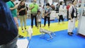 A Quadruped Dog Robot Walks And Reacts To Each Surroundings with people