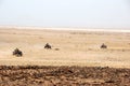 Quads next to Santa Maria, Sal Island - Cape Verde Royalty Free Stock Photo