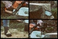 Quadtych Storyboard of Man Chainsawing Wood Royalty Free Stock Photo