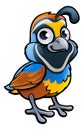 Quail Bird Cartoon Character