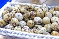 Quail bird eggs. Bunch of quail eggs.