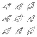 Quail bird icons set, outline style