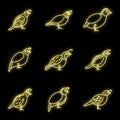 Quail bird icons set vector neon