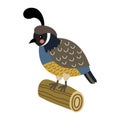 Quail bird perching on wood log animal cartoon character vector illustration