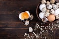 Quail and chicken eggs in a bowl, broken egg, gypsophila on a brown wooden background Royalty Free Stock Photo